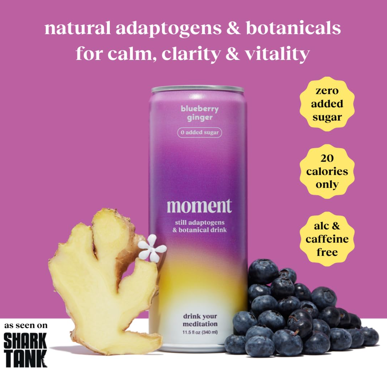 Moment Adaptogen Drink – Blueberry Ginger (12-Pack)