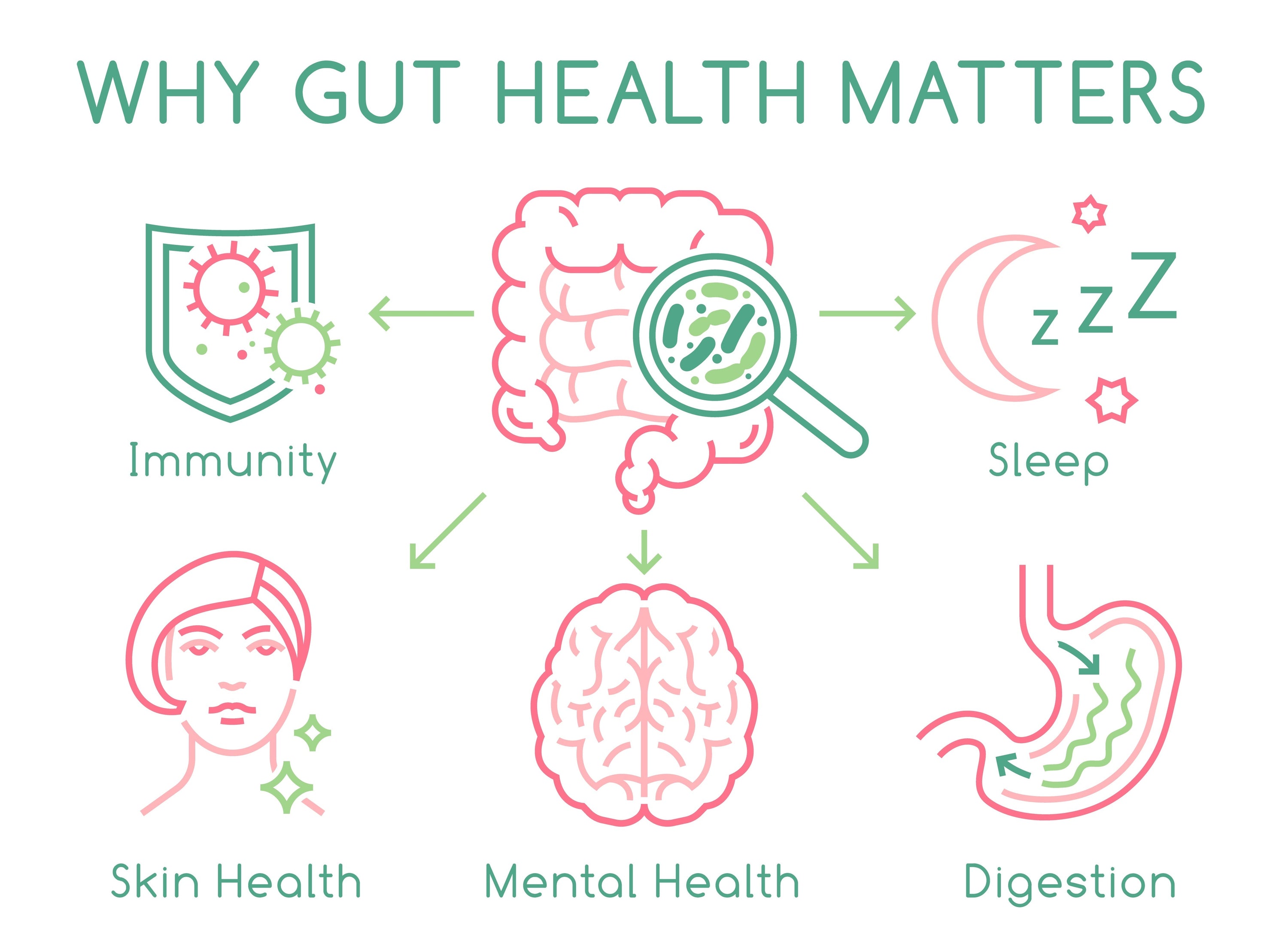 The Power of the SIBO Diet: Enhancing Your Microbiome for a Healthy Gut