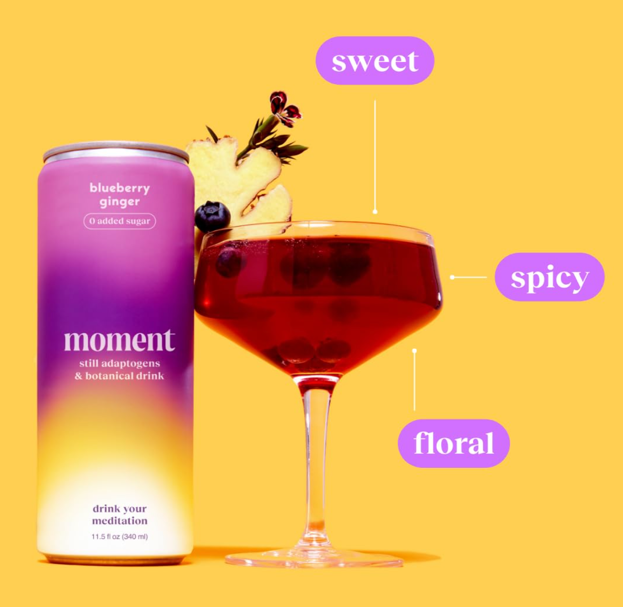 Moment Adaptogen Drink – Blueberry Ginger (12-Pack)