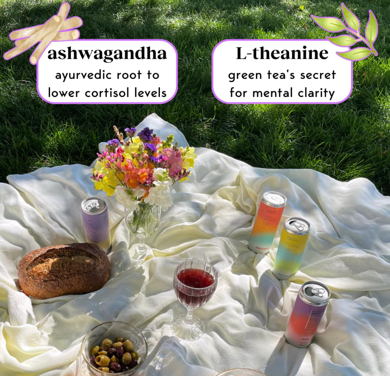 Moment Adaptogen Drink – Blueberry Ginger (12-Pack)